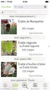 Pl@ntNet screenshot 2