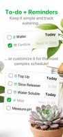 Tasks