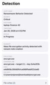 Detection Details