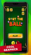 Pool Ball Sorting screenshot 2