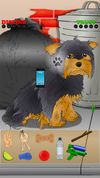 Poor Little Dog: Yorkie screenshot 1