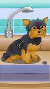 Poor Little Dog: Yorkie screenshot 2