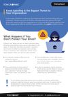 what happens if you Don't Protect Your Email?