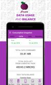 Data Usage and Balance