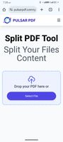 Pulsar PDF screenshot 2