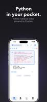 Python in your pocket: Offline notebook editor powered by Pyodide.