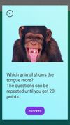 Quiz about animals
