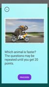 Quiz about animals
