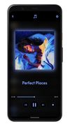 Raag (Music player) screenshot 2