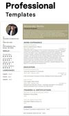 Professional Template to Build Resume