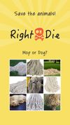 Right Or Die screenshot 2