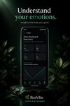 Insights Screen