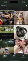 Home Feed