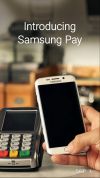 Samsung Pay screenshot 1