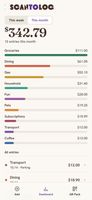 The dashboard totals your spending by week or month, with a color bar for each category.