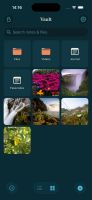 Sealby supports Photos, Videos, Files, Notes (plaintext), Folders and other file types.
