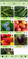 Seasonal Foods Calendar screenshot 1