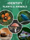 Seek by iNaturalist screenshot 1