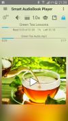 Smart AudioBook Player screenshot 2