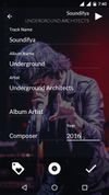 Auto Tag your Music
Edit Song Details and
make your music library Clean