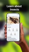 Bug ID screenshot 3