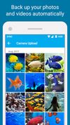 Sync.com screenshot 3