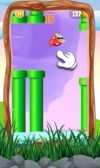 Tap Flap Bird Game