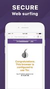 Tor Browser Private Web screenshot 2
