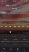 VeryFit screenshot 2