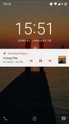 Vinyl Music Player screenshot 2