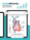 Voovo: AI Study Flashcards screenshot 2
