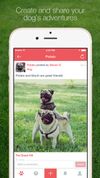 Wagtail screenshot 1