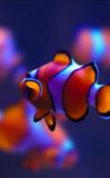 Walloop 3D Live Wallpapers screenshot 1