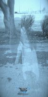Wandering Souls screenshot 2