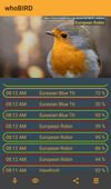 whoBIRD screenshot 3