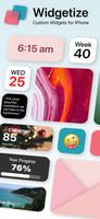 Widgetize screenshot 1