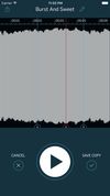 WireTap Riff Recorder screenshot 3