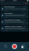 WireTap Riff Recorder screenshot 1