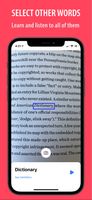 Word Capture screenshot 3