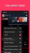 YTPIP screenshot 3
