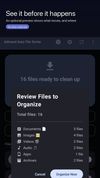 Adinand Auto File Sorter screenshot 2