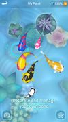 Zen Koi screenshot 2