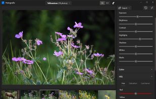 Fotografix screenshot 1