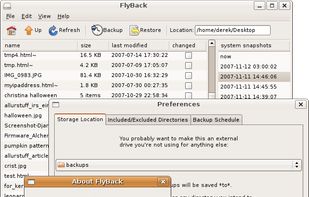 FlyBack screenshot 1