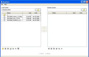 Local + Remote System