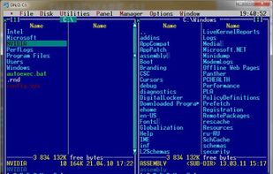 DOS Navigator OSP screenshot 1