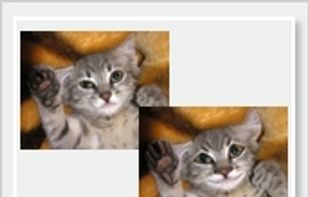 Editor.Pho.to screenshot 1