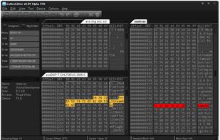wxHexEditor screenshot 2