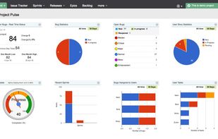 Project Pulse Dashboard