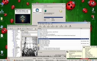 WallPaper (Crawlpaper) screenshot 1